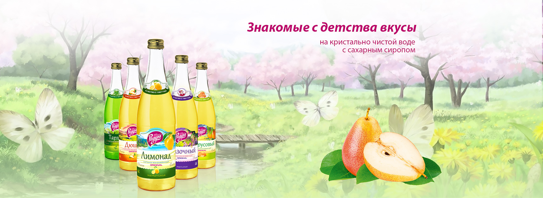 Радуга